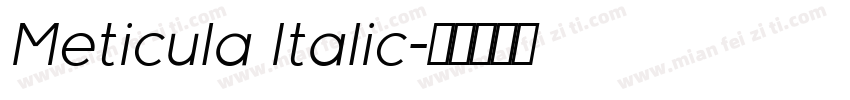 Meticula Italic字体转换